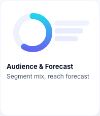Audience & Forecast